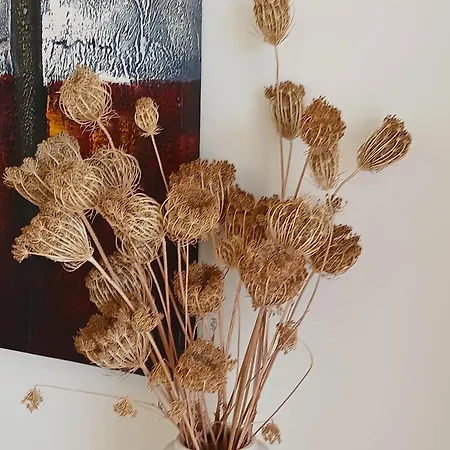 Casa Flor * Бургау