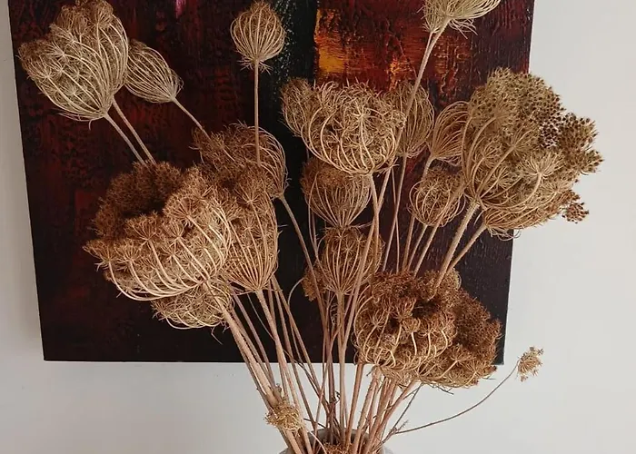 Casa Flor Appartamento