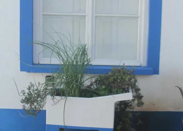 Apartment Casa Flor